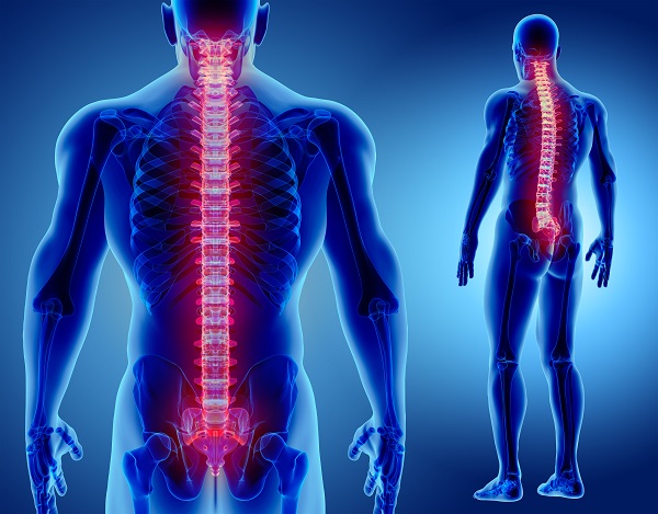 Spinal Cord Injuries and Rehabilitation